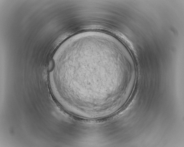 X0000114530945200911161334