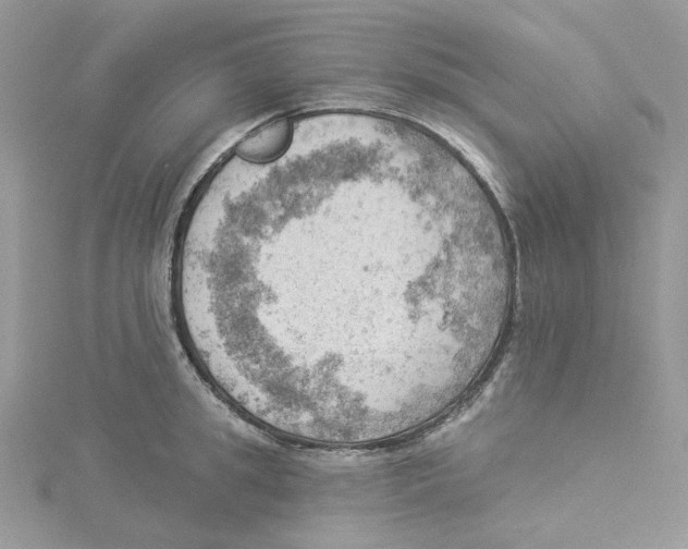 X0000114530949200911161334