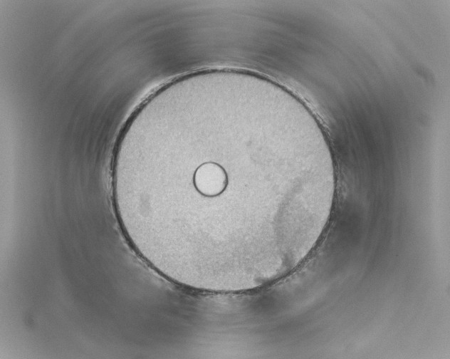 X0000114530950200911161334