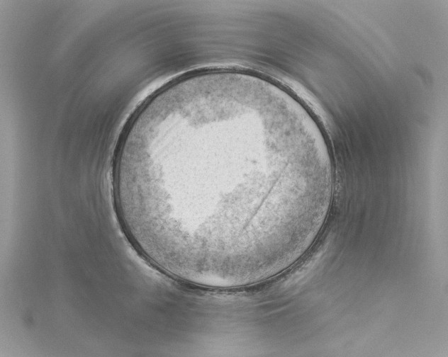 X0000114530951200911161334