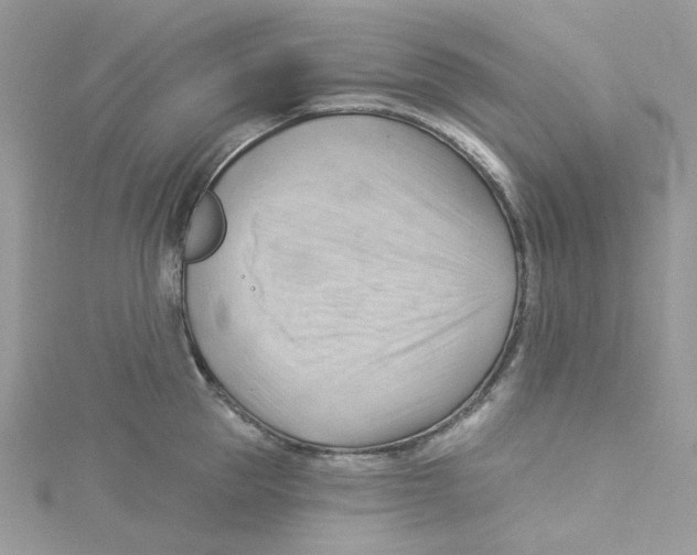 X0000114530953200911161334