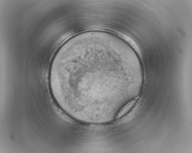 X0000114530954200911161334