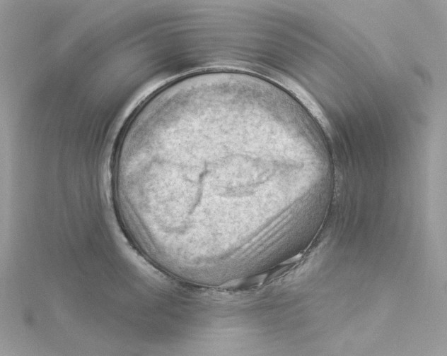 X0000114530955200911161334