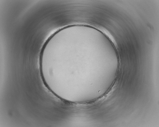 X0000114530958200911161334