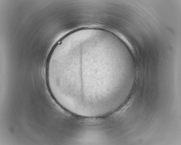 X0000114530959200911161334