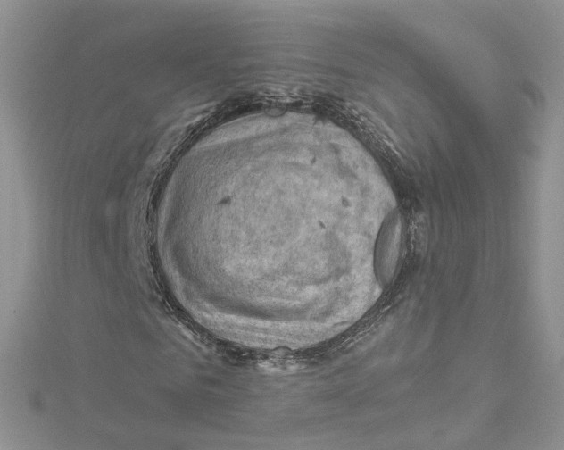 X0000114530961200911161333