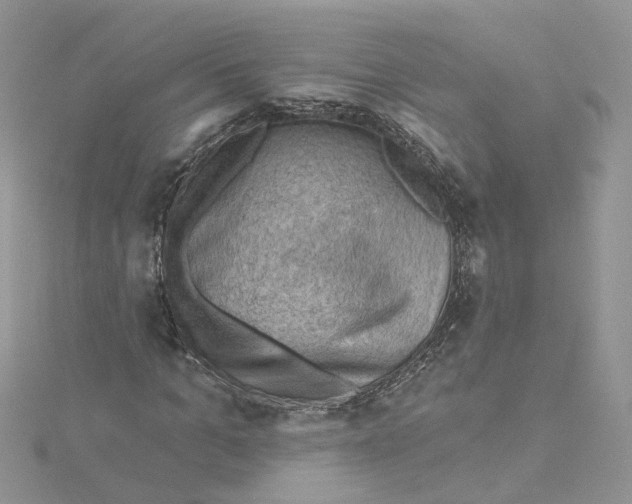 X0000114530965200911161333