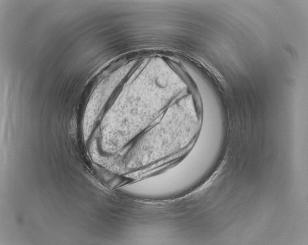 X0000114530969200911161333