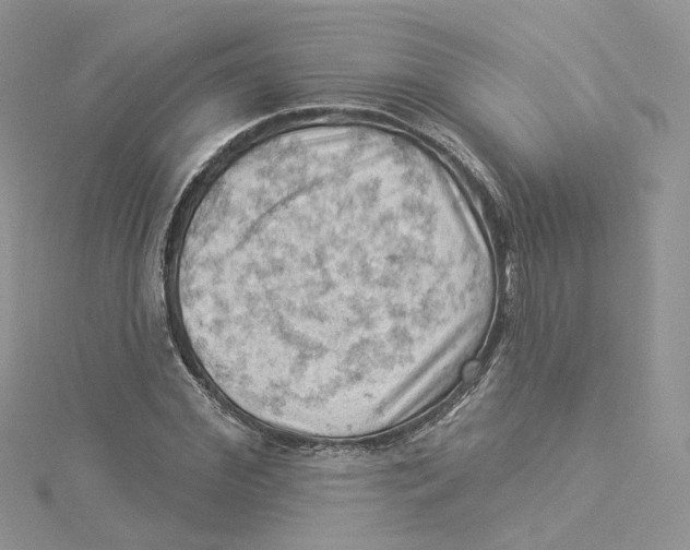 X0000114530972200911161333