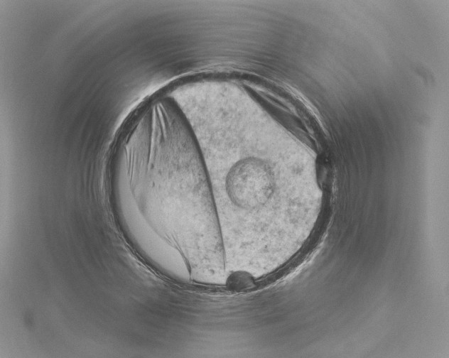 X0000114530973200911161333