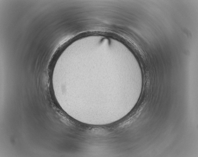 X0000114530974200911161333