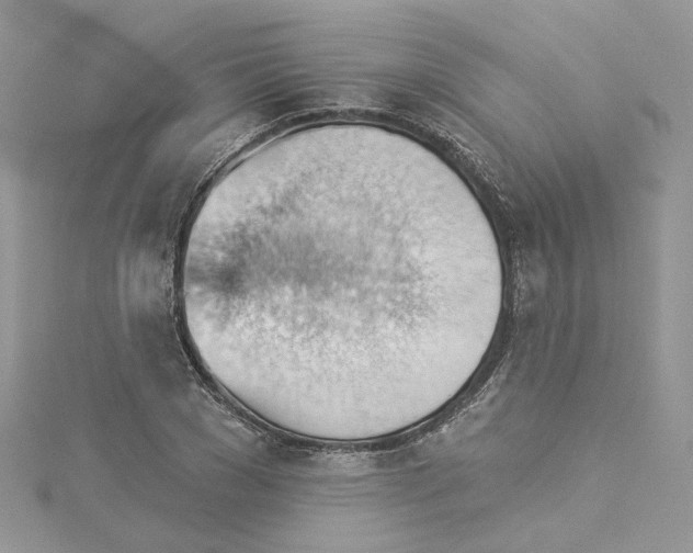 X0000114530977200911161333