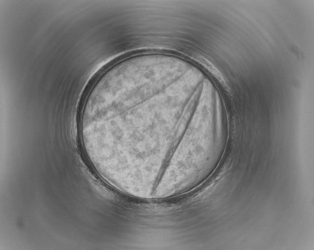 X0000114530980200911161333