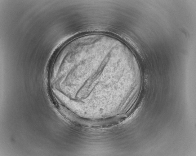 X0000114530981200911161333