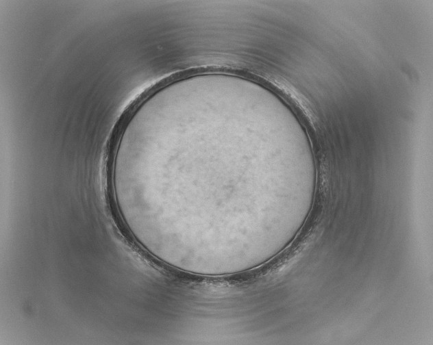 X0000114530983200911161333