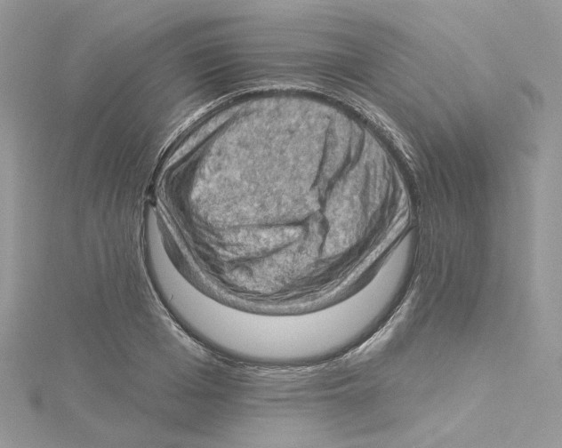 X0000114530985200911161333