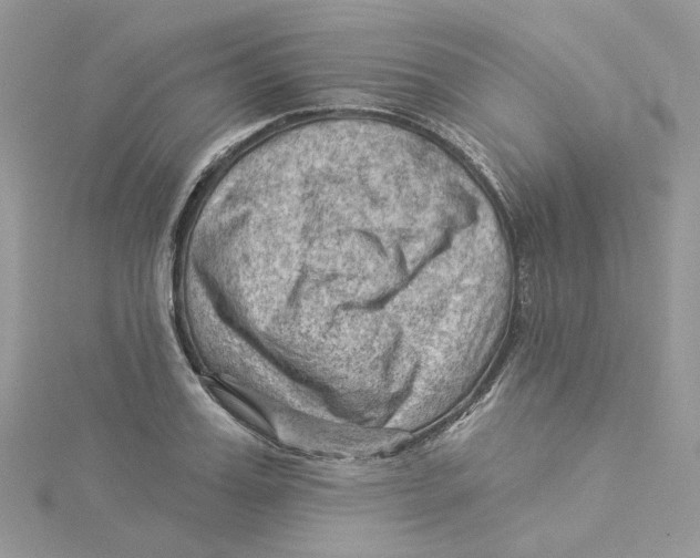 X0000114530987200911161333