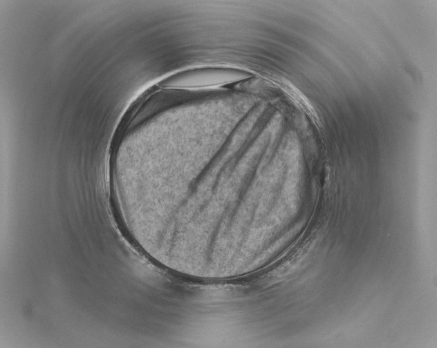 X0000114530988200911161333