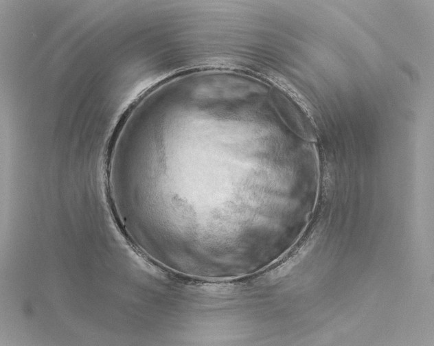 X0000114530989200911161333