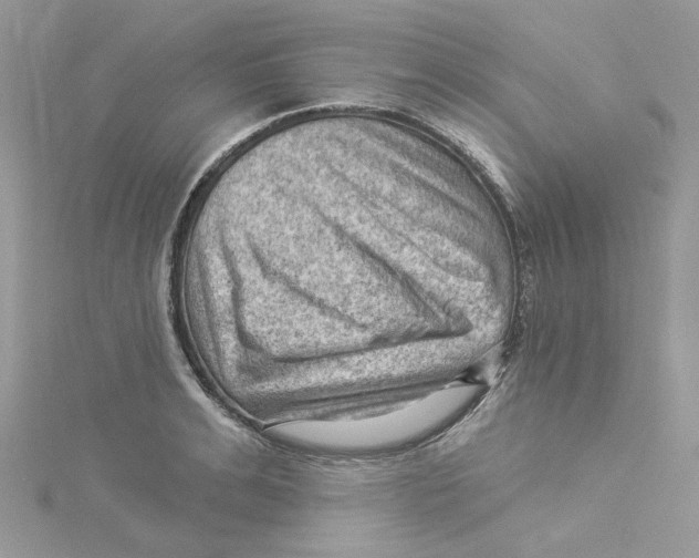 X0000114530991200911161333