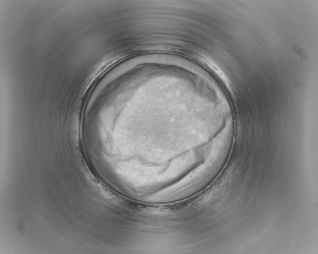 X0000114530994200911161333