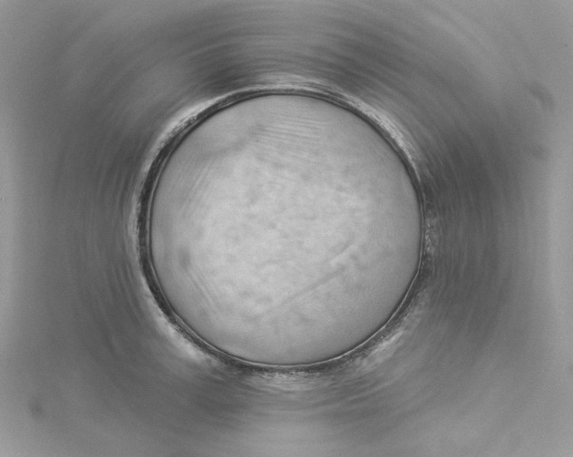 X0000114530995200911161333