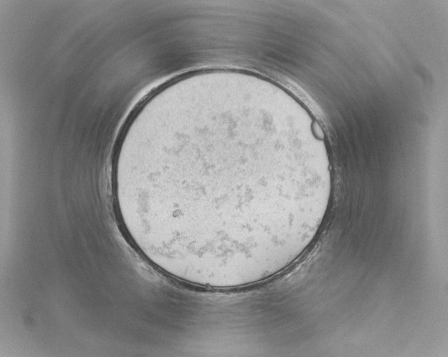 X0000114530996200911161333