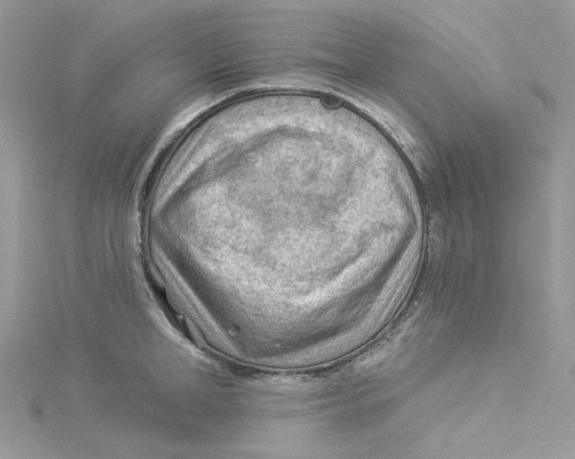 X0000114530998200911161333