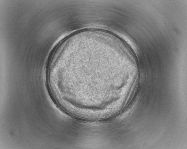 X0000114530999200911161333