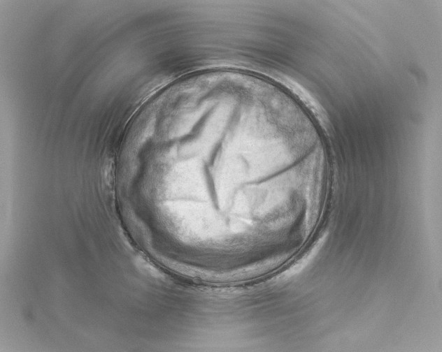 X0000114531001200911161333