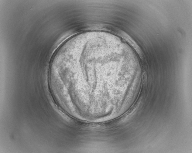 X0000114531002200911161333