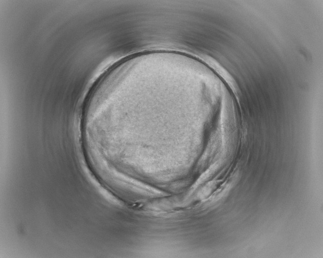 X0000114531005200911161333