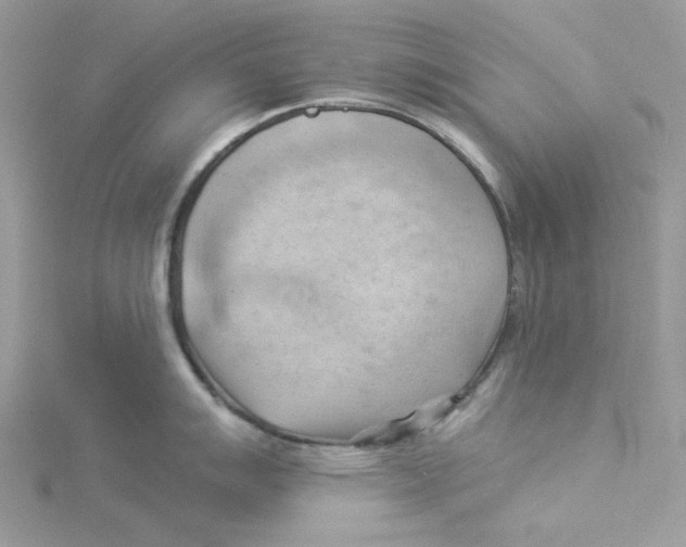 X0000114531007200911161333