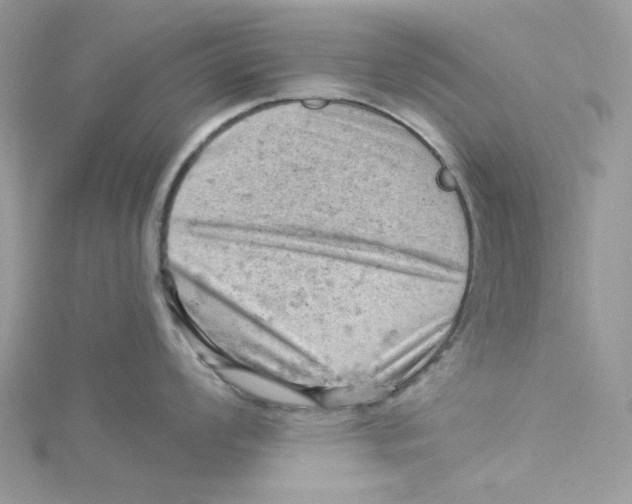 X0000114531008200911161333