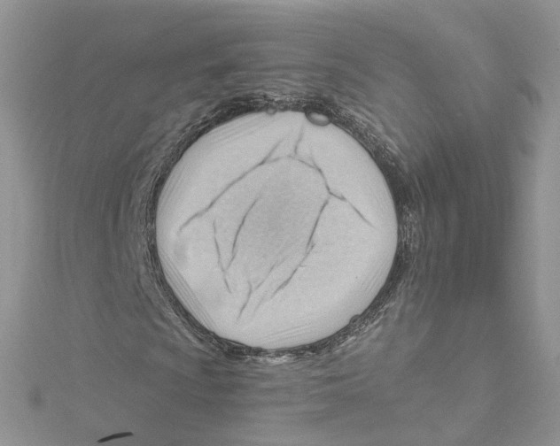 X0000114531009200911161332