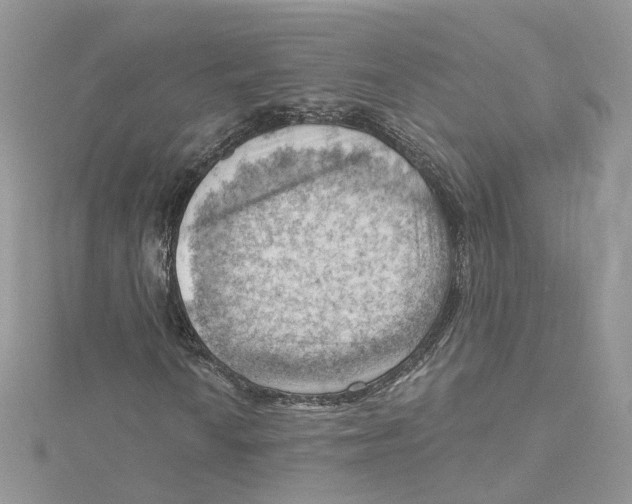 X0000114531010200911161332