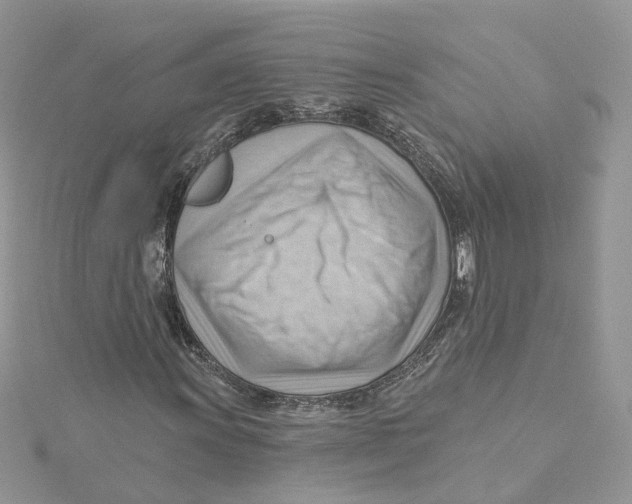 X0000114531011200911161332