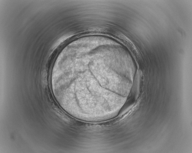 X0000114531019200911161332