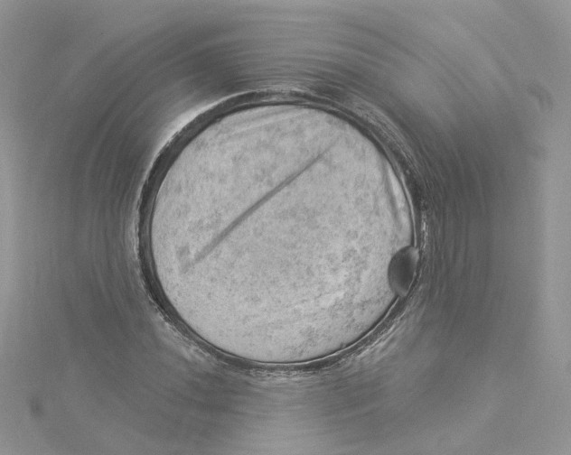 X0000114531020200911161332