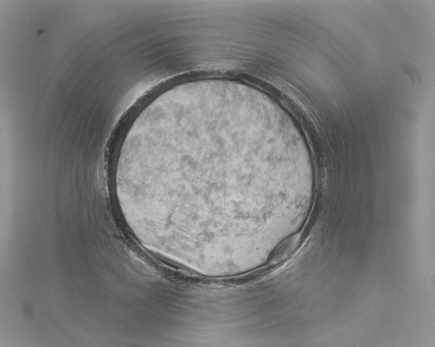 X0000114531022200911161332