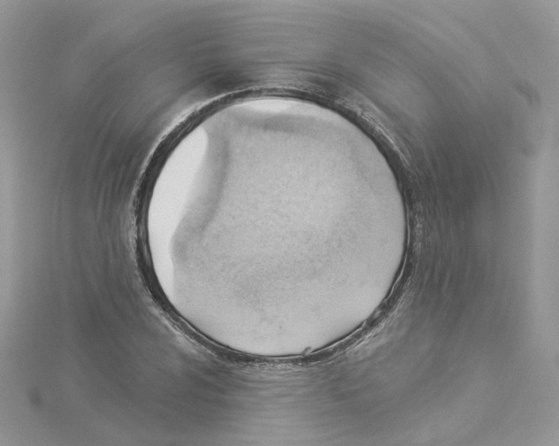 X0000114531024200911161332