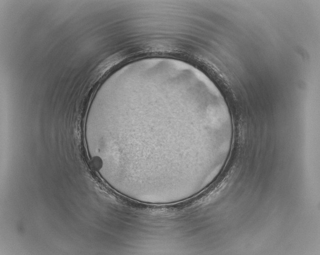 X0000114531025200911161332