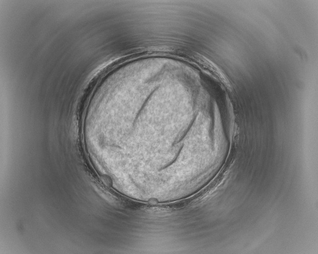 X0000114531027200911161332