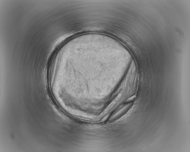 X0000114531030200911161332