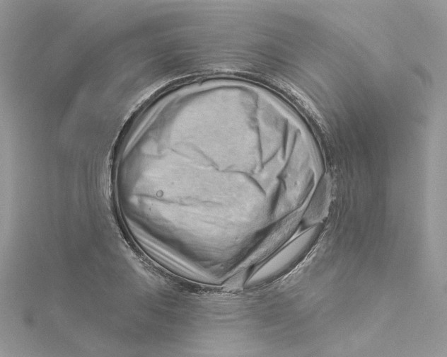 X0000114531031200911161332