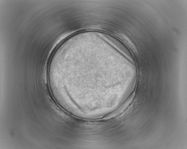 X0000114531036200911161332