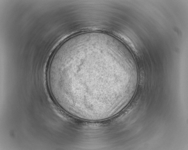 X0000114531039200911161332