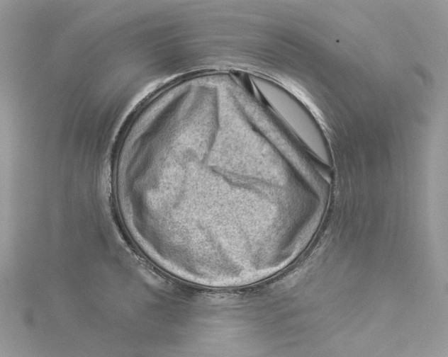 X0000114531040200911161332