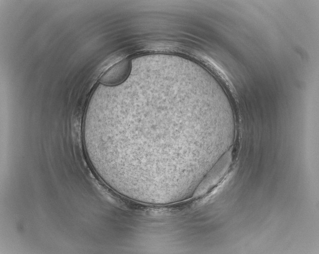 X0000114531041200911161332