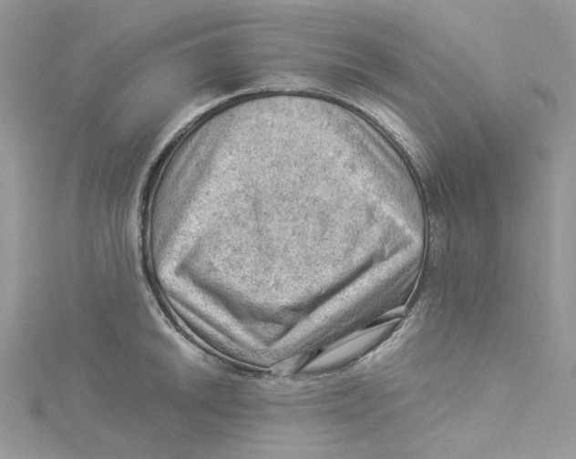 X0000114531046200911161332